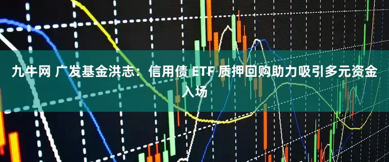 九牛网 广发基金洪志：信用债 ETF 质押回购助力吸引多元资金入场