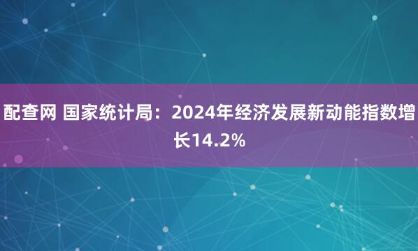 配查网 国家统计局：2024年经济发展新动能指数增长14.2%