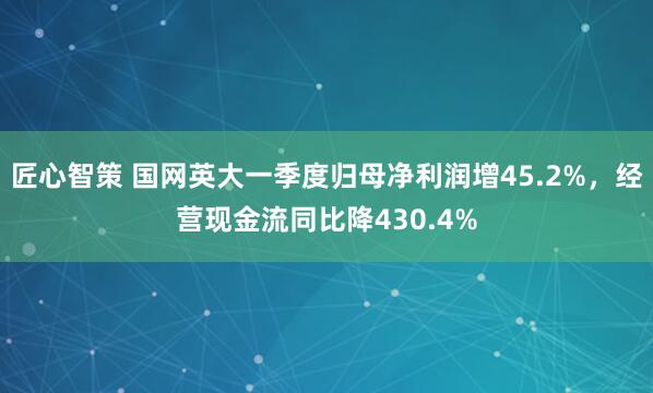 匠心智策 国网英大一季度归母净利润增45.2%，经营现金流同比降430.4%